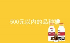 500元以内的品种猫