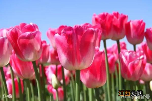 如何成为一个有心计有城府的人? 如何当一个有城府和有心计的人