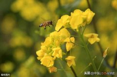 男性日常养生小知识