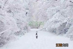 “千里冰封，万里雪飘”二十四节气养生之大雪