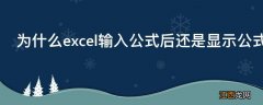 为什么excel输入公式后还是显示公式