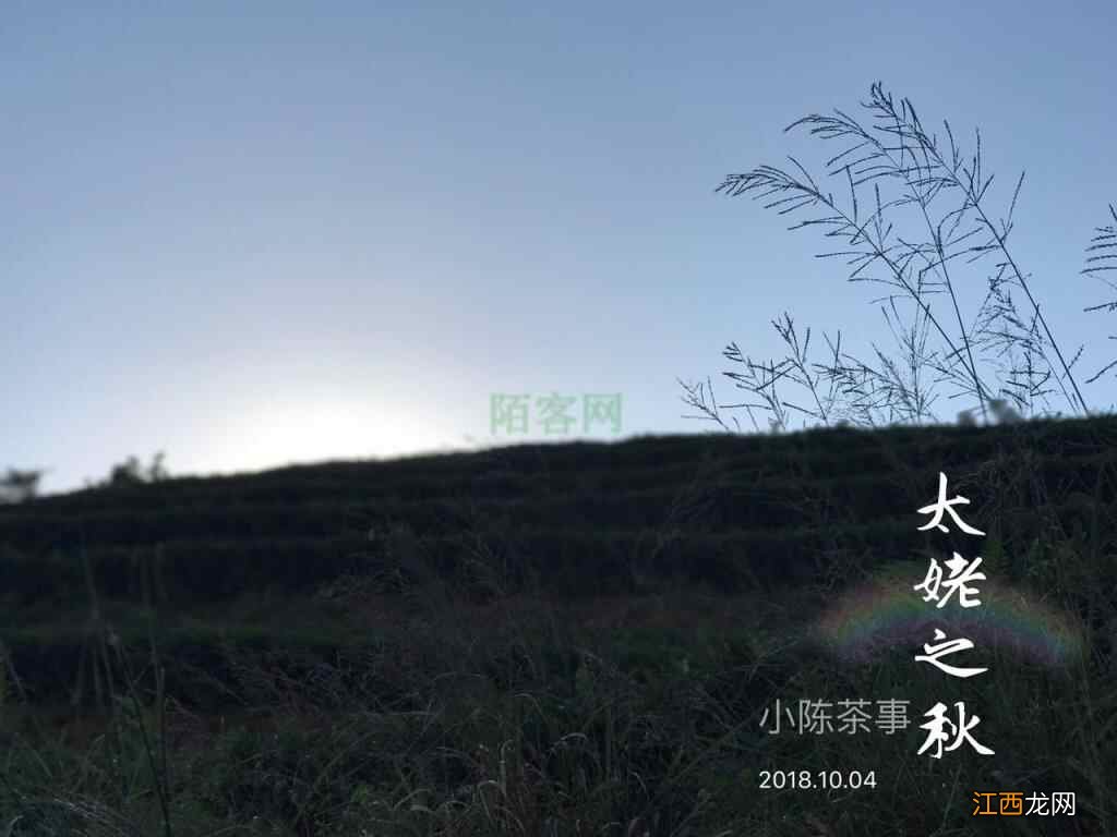 寒露节气，要如何养生？喝茶是一种不可或缺的养生手段！