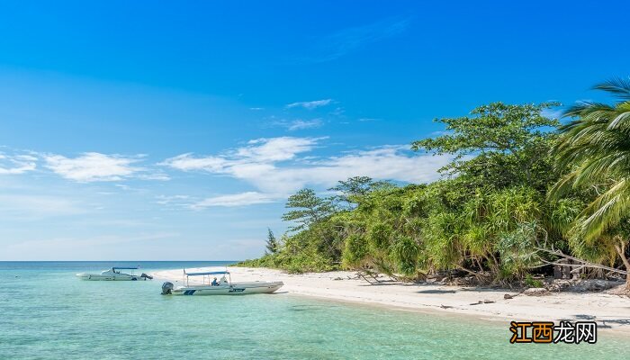 红树植物对高盐的潮间带环境具有特殊的什么性