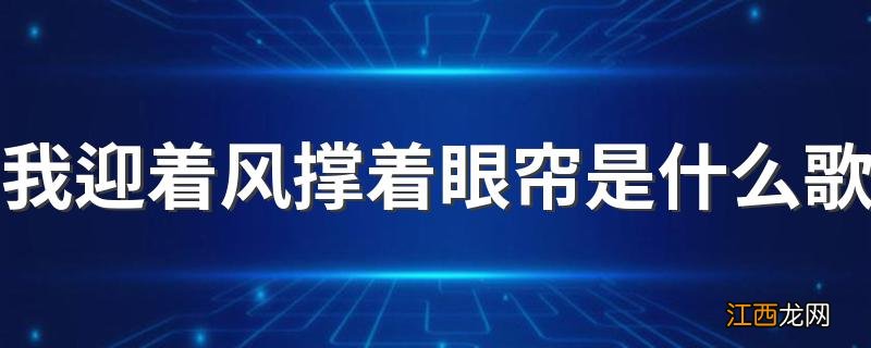 我迎着风撑着眼帘是什么歌 这首歌的歌词