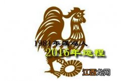 81年鸡人40岁后命运 1981年属鸡人最难熬年龄，69年女属鸡人50岁后命运