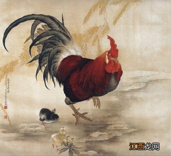 属鸡的人29岁时为什么有大劫 2022年属鸡人有两喜,属鸡上等命出生时辰