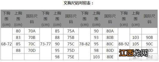 女性文胸罩杯大小怎么区分