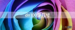 dn100是几寸