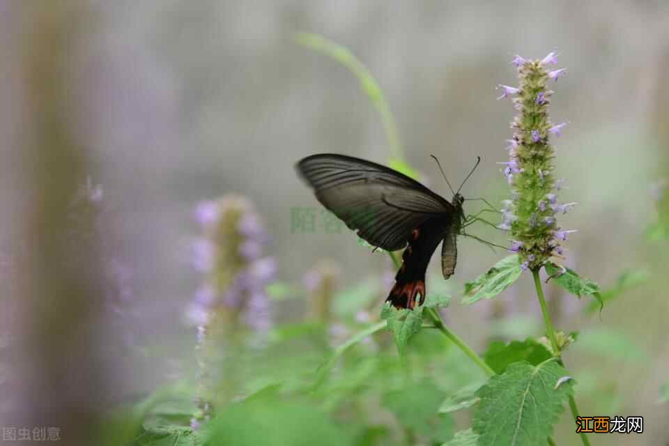 68岁老人坦言：既开心又养生的新型养老方法真不错，还有三个好处