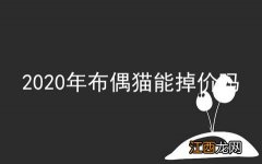 2020年布偶猫能掉价吗