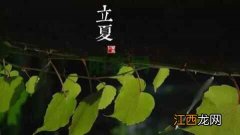 「健康」立夏最全“养生指南”，人手一份！