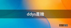 ddys是啥