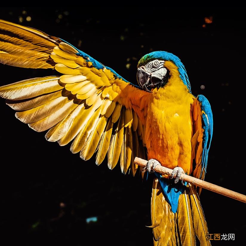 凭借MStar超能解码技术Ultra-VDEC