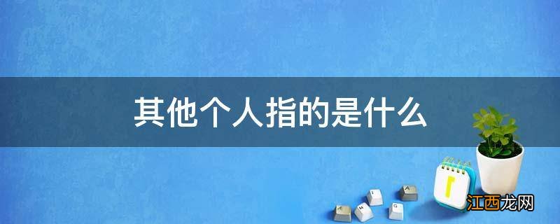 其他个人指的是什么