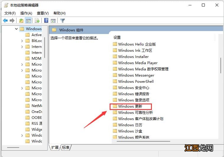Win11如何更新？Win11系统手动更新的方法