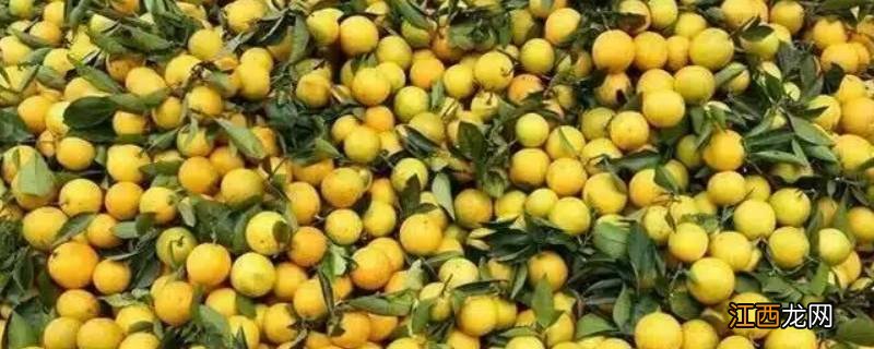 湖南水果有哪些水果