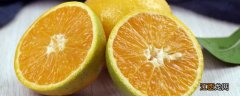 夏橙是反季节水果吗