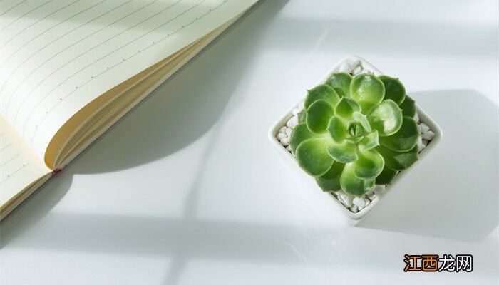 多肉营养土怎么配