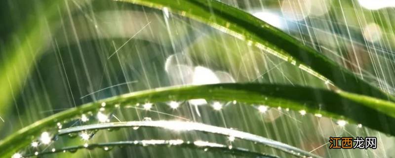 雨水流向哪里