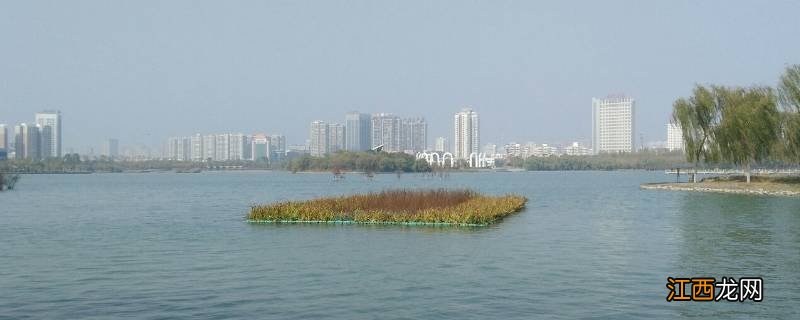 山阳区特色文化