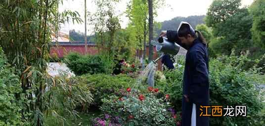 武当陈师行谈夏季养生,以散步、慢跑、太极拳为宜