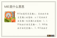 MIE是什么意思