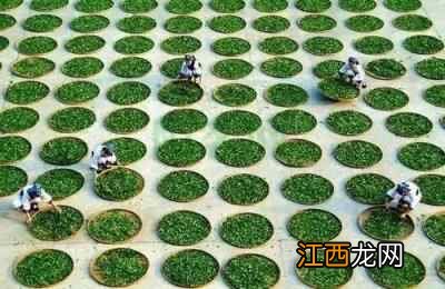 盘点中国茶品：茶乃万病之药，喝对了养生，喝错了伤身