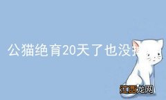 公猫绝育20天了也没掉痂