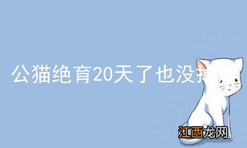 公猫绝育20天了也没掉痂