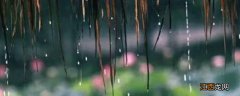 梅雨季节在哪些省