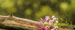 雨水量毫米是什么意思