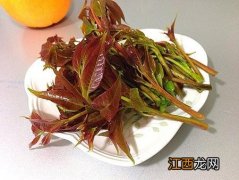 鸡蛋炒香椿芽需要提前热水烫香椿吗？