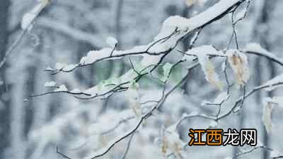 大雪至，隆冬始，御寒养生正当时！