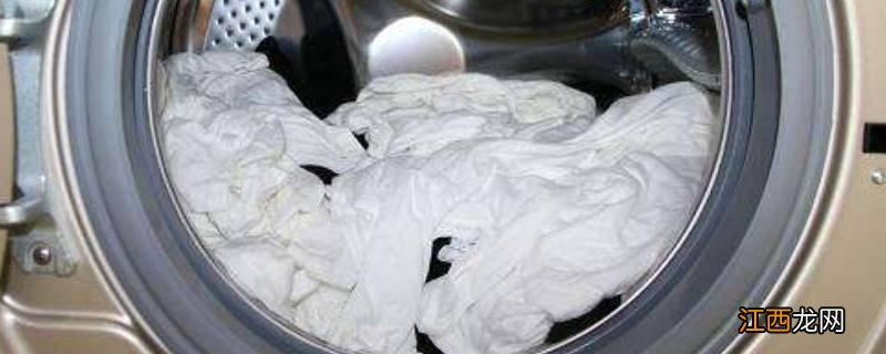霉菌在洗衣机里能活吗