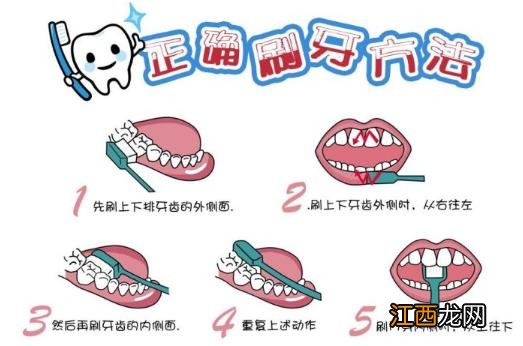 刷牙前用牙刷沾水？教你正确刷牙方法