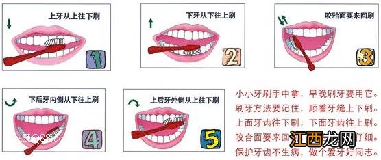 刷牙前用牙刷沾水？教你正确刷牙方法