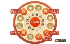 82年属狗2020年的运势 属狗狮子座2021年运势，2021年属狗的下半年运势