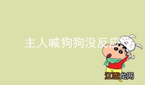主人喊狗狗没反应
