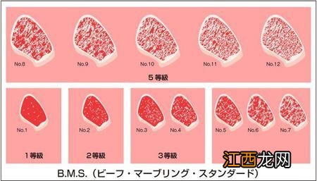 吃牛排学问多，秒懂牛排等级区分