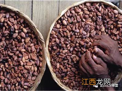 可可豆是如何变成巧克力的？