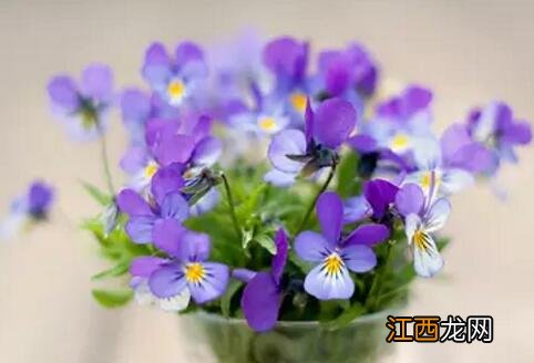 早上经过酒店门口,发现一美女和一男的在拉扯争执……