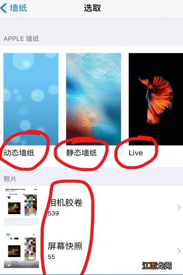 ios怎么设置自定义动态壁纸