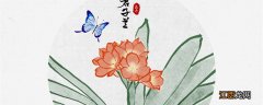 君子兰10月份能换盆吗