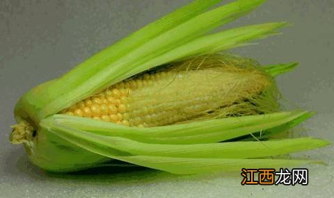 蒲公英作为一种“天然抗生素”，原来有如此神效！