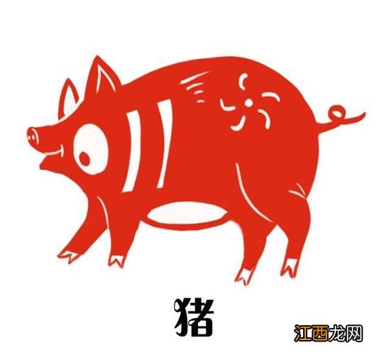 83年属猪人最旺的年龄 生肖猪2022年两喜缠身，95属猪正缘2022