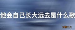 他会自己长大远去是什么歌 他会自己长大远去是什么歌的歌词