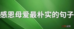 感恩母爱最朴实的句子 感恩母爱最朴实的句子建议收藏