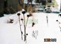 “大雪”已至 冷空气来袭！这份冬季养生宝典请收好