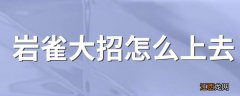 岩雀大招怎么上去 岩雀大招怎么放才能带自己飞啊