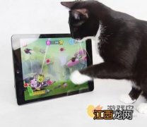 《枪炮猫》评测：猫咪爱玩的虚幻引擎大作[多图]